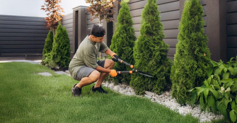 Azubi schneidet Hecken